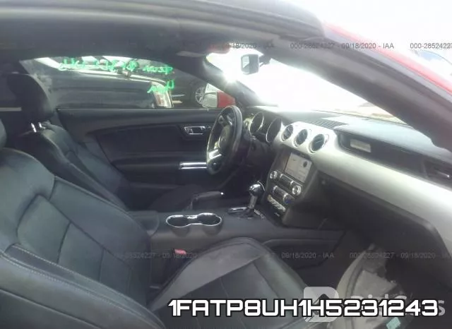 1FATP8UH1H5231243_5.webp