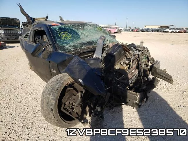 1ZVBP8CF9E5238570