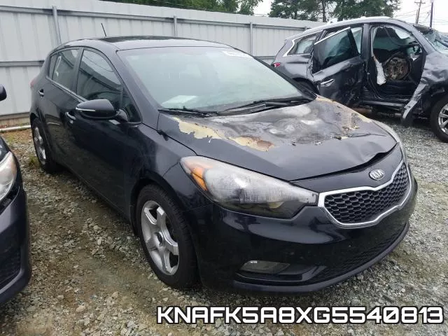 KNAFK5A8XG5540813