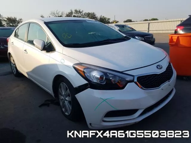 KNAFX4A61G5503823