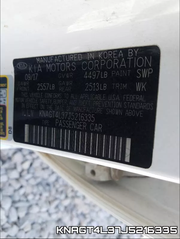 KNAGT4L37J5216335_10.webp