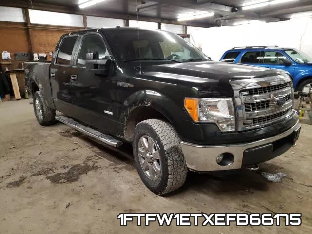 1FTFW1ETXEFB66175