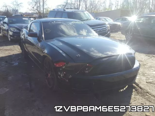 1ZVBP8AM6E5273827