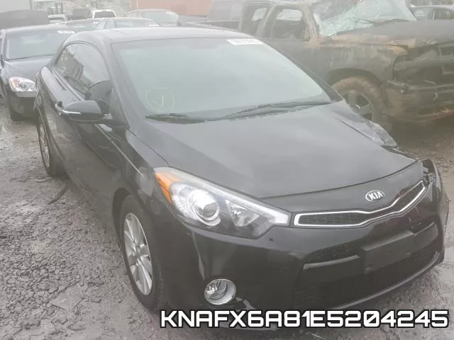 KNAFX6A81E5204245