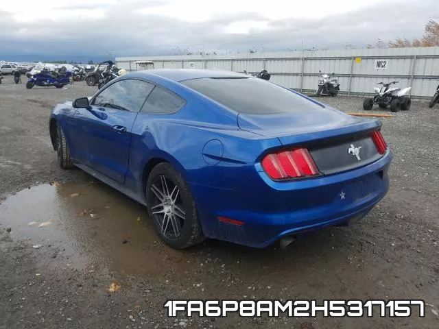 1FA6P8AM2H5317157_3.webp