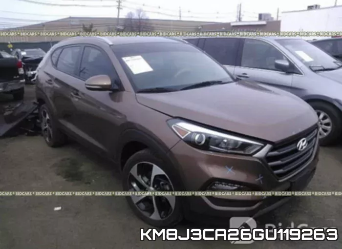 KM8J3CA26GU119263