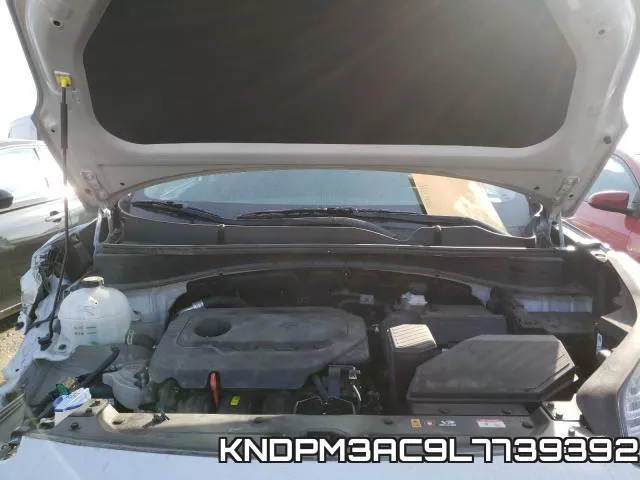 KNDPM3AC9L7739392_7.webp