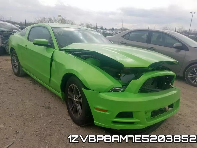 1ZVBP8AM7E5203852
