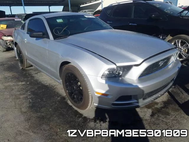 1ZVBP8AM3E5301809