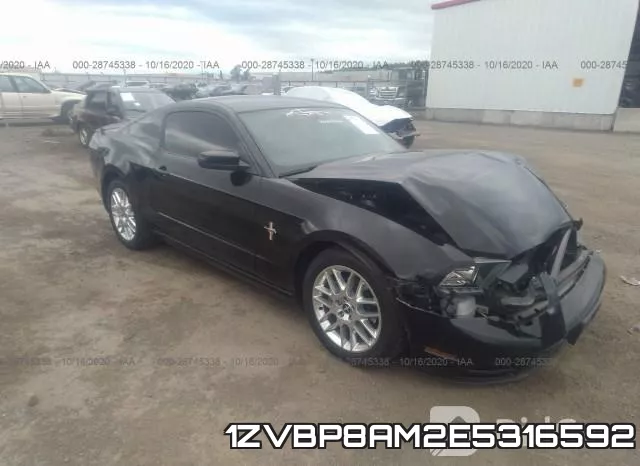 1ZVBP8AM2E5316592