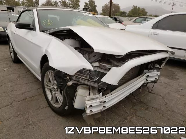 1ZVBP8EM8E5267022
