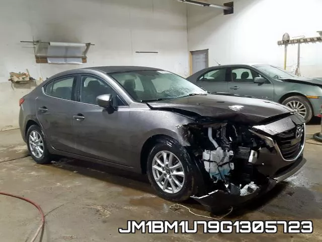 JM1BM1U79G1305723