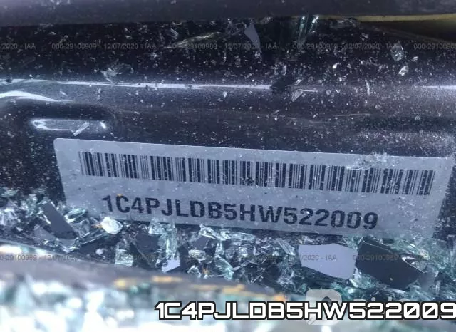 1C4PJLDB5HW522009_9.webp