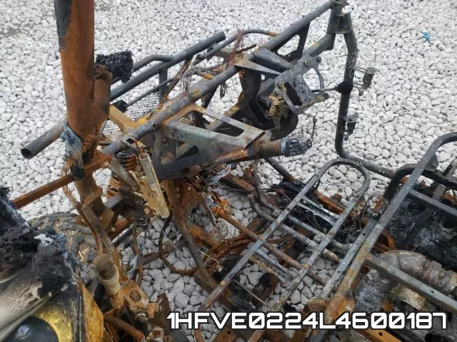 1HFVE0224L4600187_8.webp