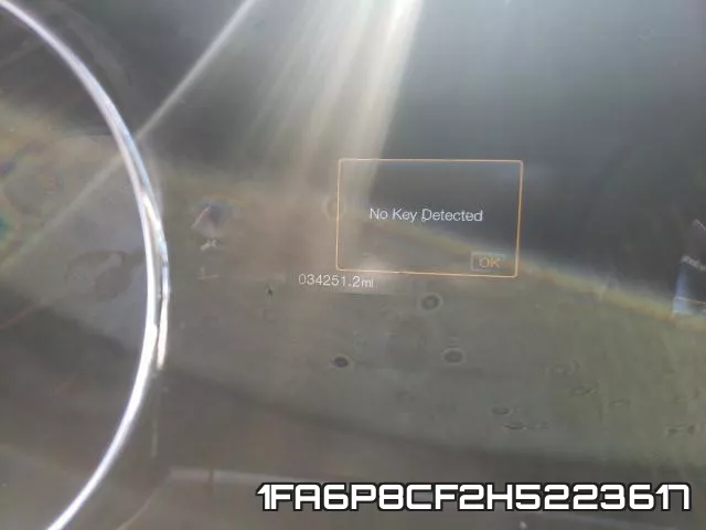 1FA6P8CF2H5223617_8.webp