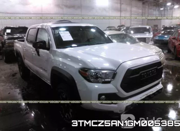 3TMCZ5AN1GM005385