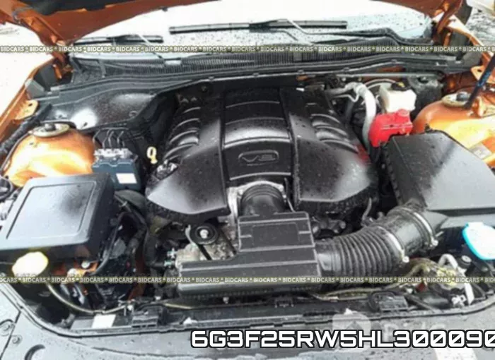 6G3F25RW5HL300090_10.webp