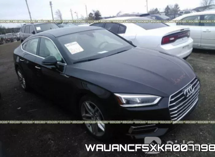 WAUANCF5XKA007798_1.webp