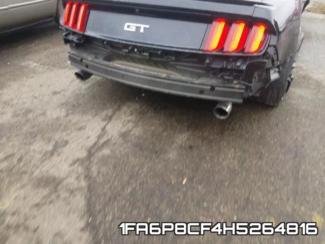1FA6P8CF4H5264816_9.webp