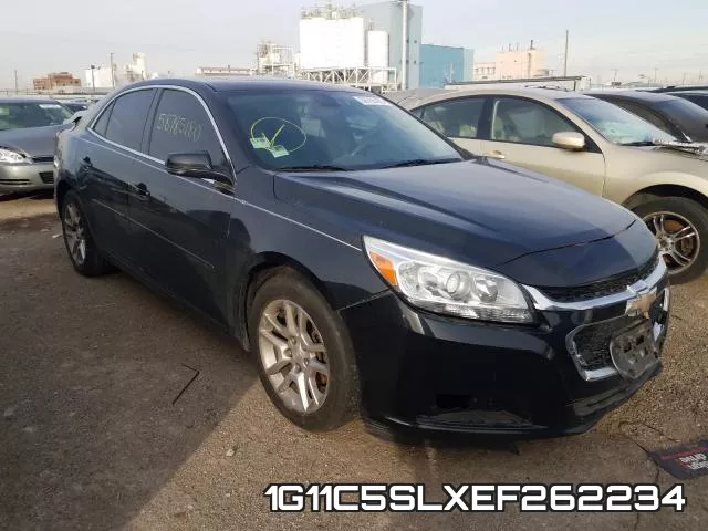 1G11C5SLXEF262234