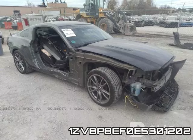 1ZVBP8CF0E5301202