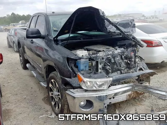 5TFRM5F16DX065859