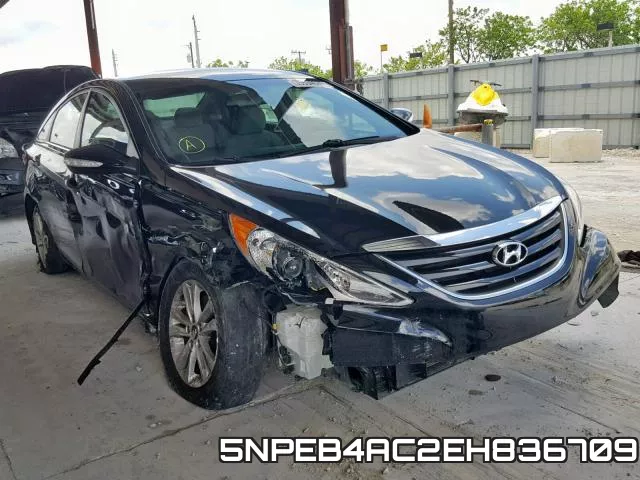 5NPEB4AC2EH836709