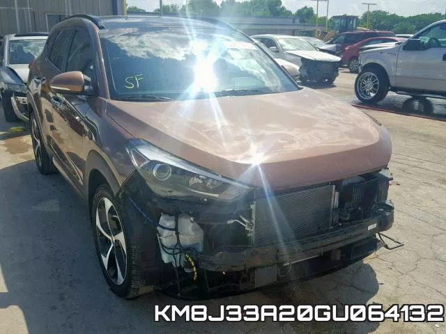 KM8J33A20GU064132