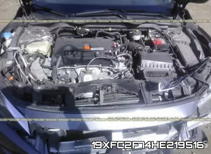 19XFC2F74HE219516_10.webp