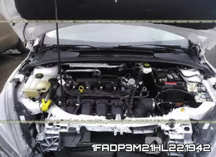 1FADP3M21HL221942
