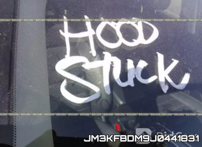 JM3KFBDM9J0441831_10.webp