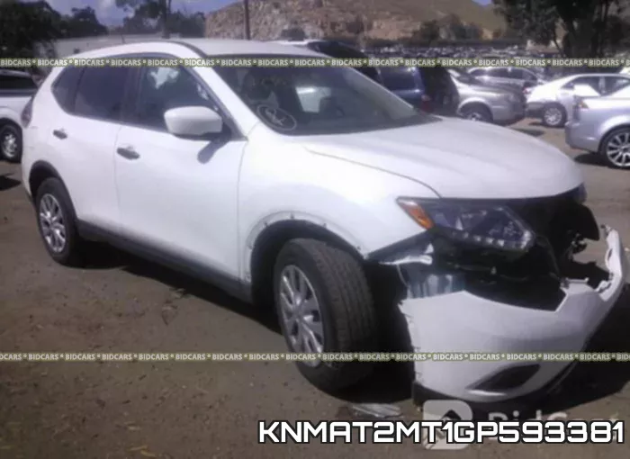 KNMAT2MT1GP593381