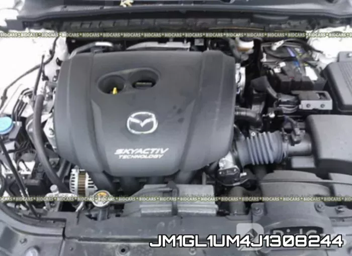 JM1GL1UM4J1308244_10.webp