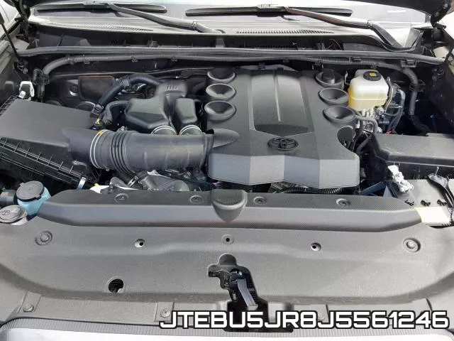 JTEBU5JR8J5561246_7.webp