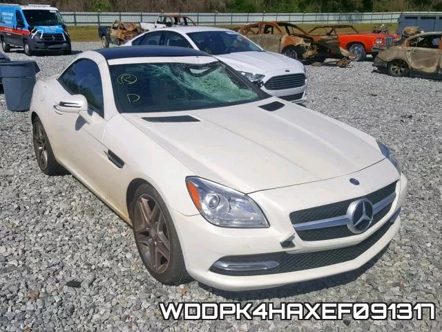 WDDPK4HAXEF091317
