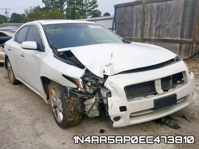 1N4AA5AP0EC473810