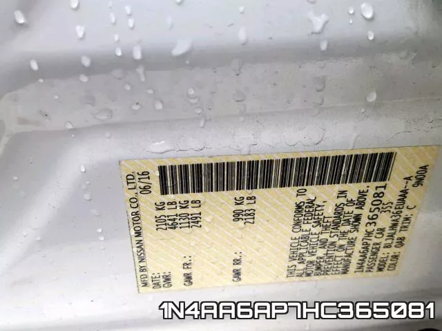 1N4AA6AP7HC365081_10.webp
