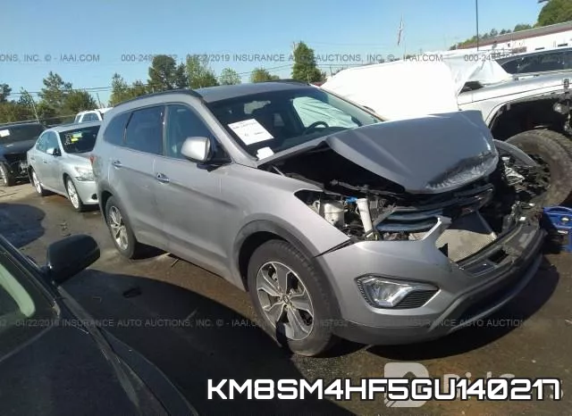 KM8SM4HF5GU140217