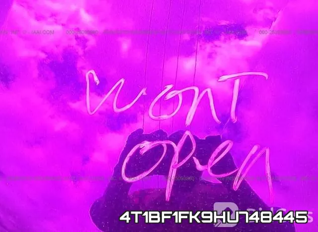 4T1BF1FK9HU748445_10.webp