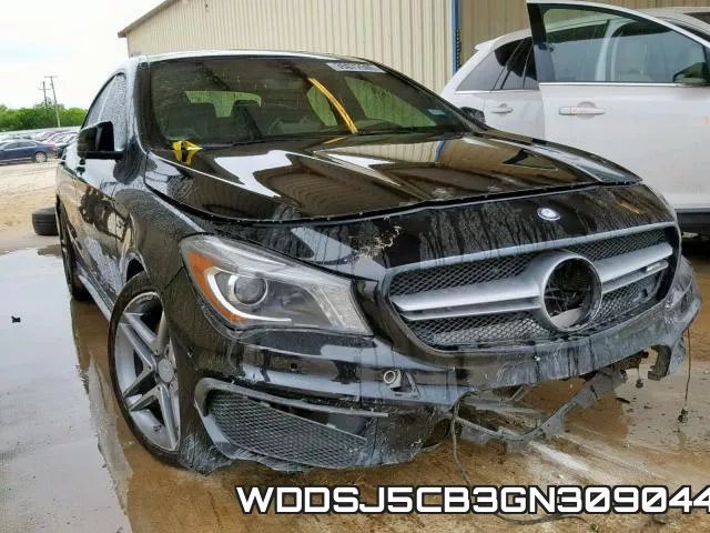 WDDSJ5CB3GN309044