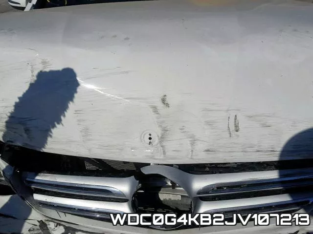 WDC0G4KB2JV107213_7.webp