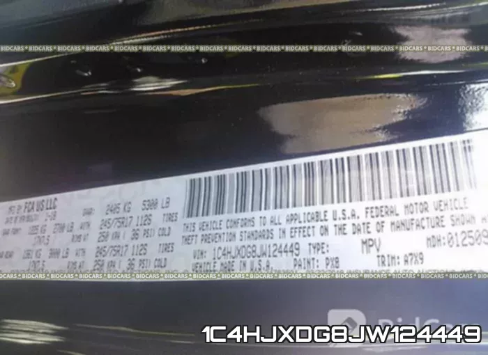 1C4HJXDG8JW124449_9.webp
