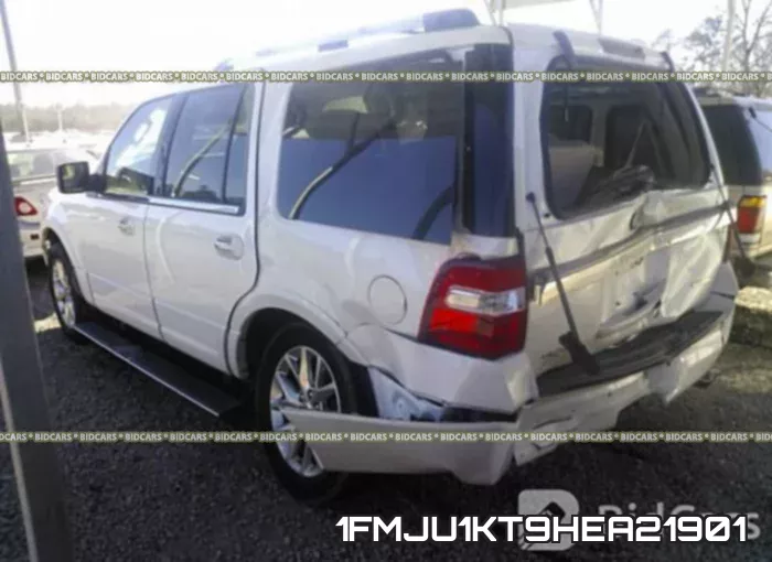 1FMJU1KT9HEA21901_3.webp