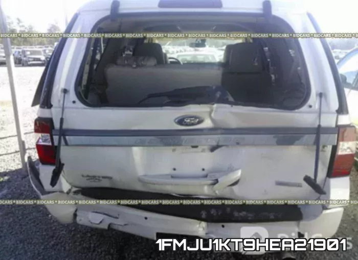 1FMJU1KT9HEA21901_6.webp