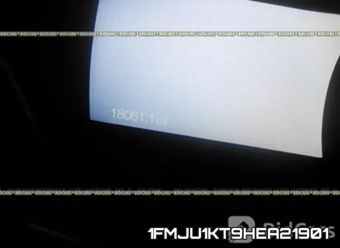 1FMJU1KT9HEA21901_7.webp