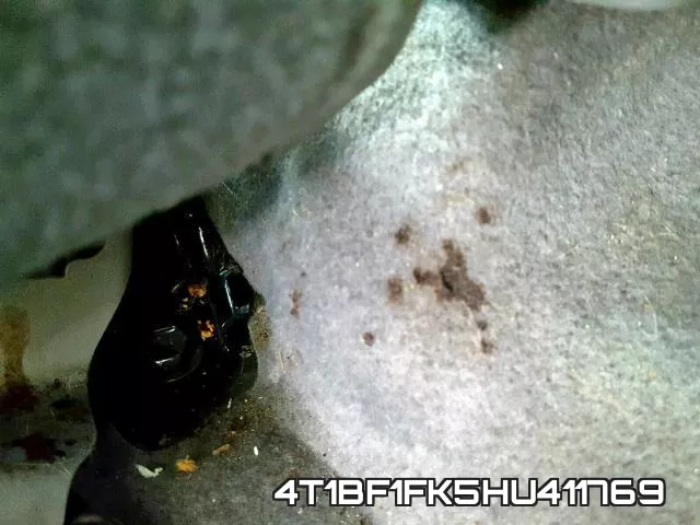 4T1BF1FK5HU411769_9.webp