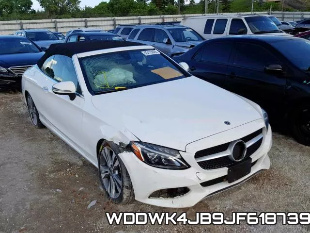 WDDWK4JB9JF618739