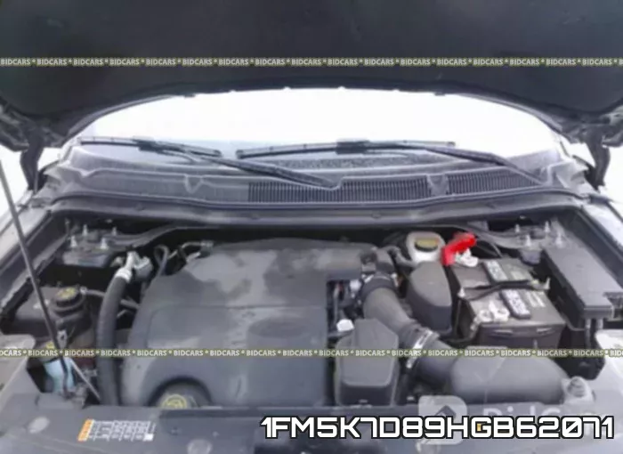 1FM5K7D89HGB62071_10.webp
