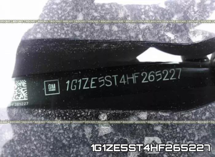 1G1ZE5ST4HF265227_9.webp
