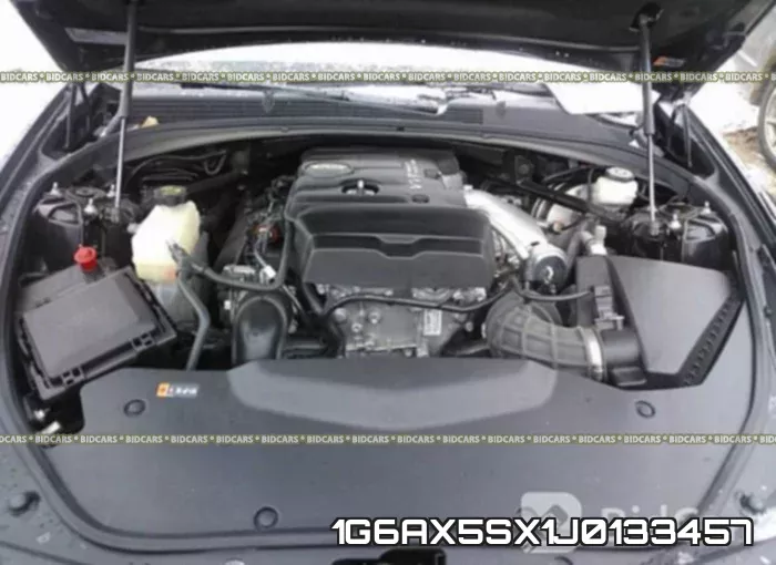 1G6AX5SX1J0133457_10.webp